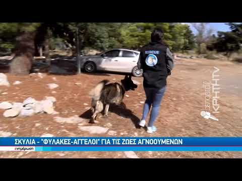 Ο Δίας και η Αέλα σκύλοι ανιχνευτές επί Κρητικου εδάφους