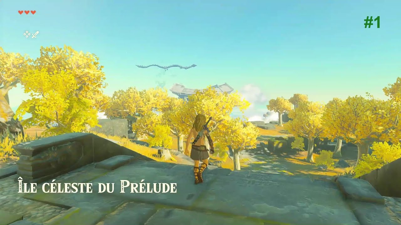 zelda tears of the kingdom FR 1 ile celeste du prelude YouTube zelda tears of the kingdom FR 1 ile celeste du prelude YouTube