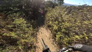 Secret DH Trail | Bay Area Mountain Biking