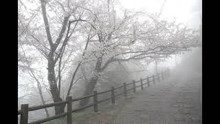 [FREE] Hardrock Type Beat 2025 - 2330 in japan prod. syrin