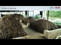 3.3 Composting technologies