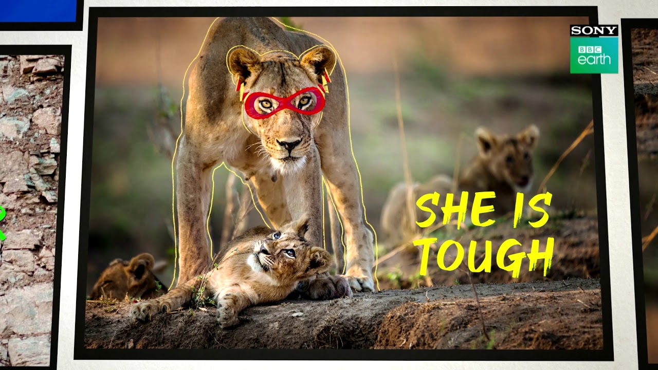 Happy Mother's Day To Every Supermom! | Mother's Day 2020| Sony BBC Earth