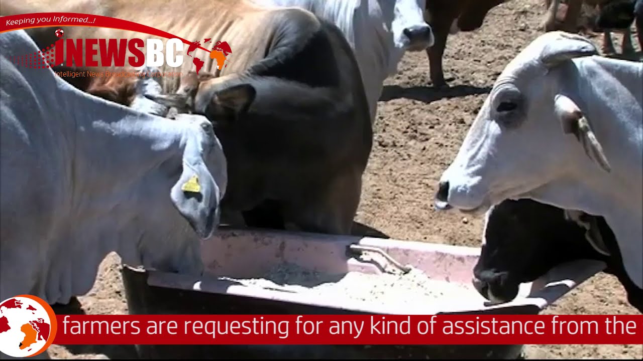 Otjozondjupa farmers affected by fire