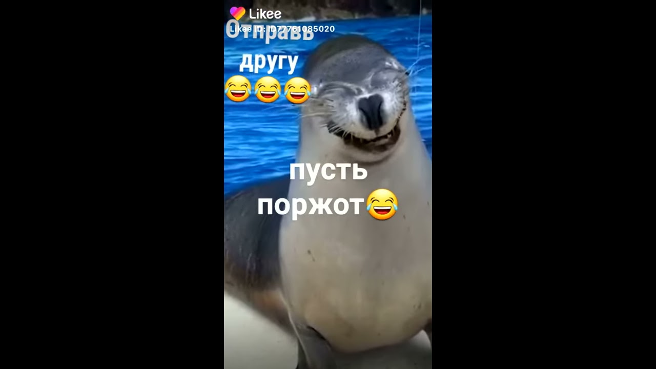 ОРУ - YouTube