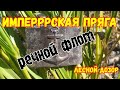 Шутки деда ХАБАРА))) Коп по войне на реке OMET FLIZ. Metaldetecting.