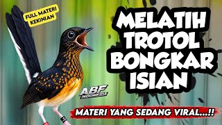 Di jamin cepat masuk ! MASTERAN MURAI BATU ISIAN TEMBAKAN KEKINIAN 2026‼️