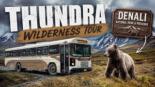 Thundra Wilderness Tour Denali Alaska June 8th 2026