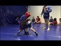 День борьбы. Боевое самбо. Самбо дети/Day of struggle. Combat Sambo. Sambo Kids