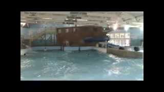 Indoor Wave Pool at the Cape Codder Resort & Spa - Hyannis