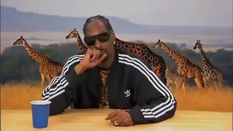 Snoop dogg twas the nizzle before christmizzle lyrics