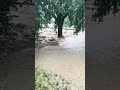 I think Poseidon pulled up to my neighborhood 🥲 #storm #flooding #newyork #epic #epicthemusical