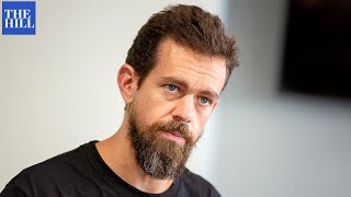 JUST IN: Twitter's Jack Dorsey Planning To Step Down As CEO, Per Report Profile