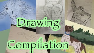 Short Drawing Compilation