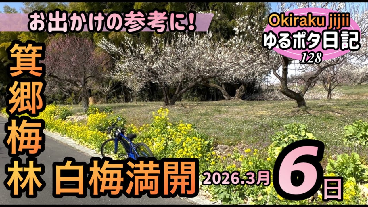 ［ゆるポタ日記］白梅満開の箕郷梅林に行って来ました！
