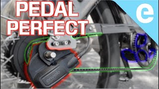 Pedaling Perfected Evelo Aurora Limited Review