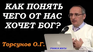 Торсунов О.Г. Как понять, чего от нас хочет Бог. Учимся жить.