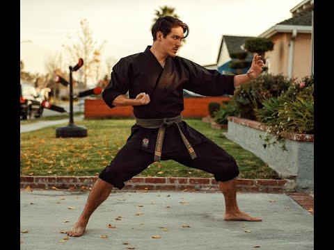 Best kicks Ever #kicks #Fights #osufilms #workouts