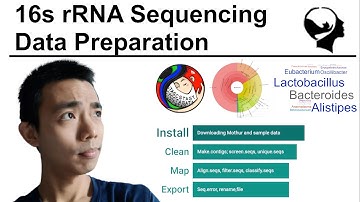 16s rRNA Sequencing Analysis | Mothur Walkthrough Part 1