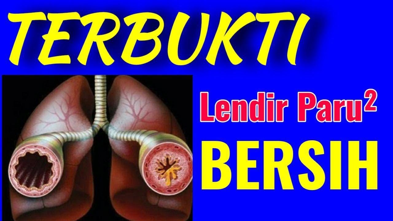 Cara Alami/Herbal Untuk Bersihkan LENDIR PARU2 ,Simak Dan Praktekkan