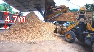 Wood Chip Loading | Excavators & Female Workers in High-Risk Conditions