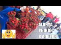 ALANYA Цены на клубнику Рынок 8 апреля Алания Тосмур