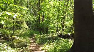 When do software devs stop caring about their work?