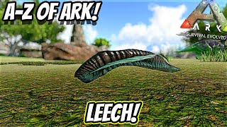 A-Z Of Ark! The LEECH, Carrier Of The Dreaded Swamp Fever!! || Ark Survival Evolved!