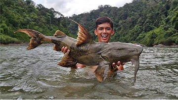 Thủy Quái Của Rừng Sa Bẫy Lưới | 360h Sinh tồn Giữa Rừng NHIỆT ĐỚI Sang Vlog ( phần 7 )