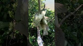 Lebih Baik Aku Mancing Ikan Dari Pada Mancing Anak Org