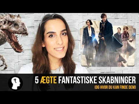 Video: 5 Grunde Til At Se Fantastiske Dyr Og Hvor Man Kan Finde Dem