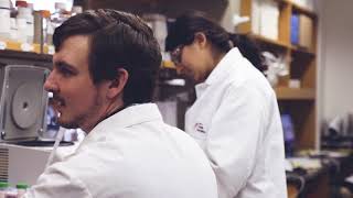 Antibody Discovery At Ipi Inside The Pipeline