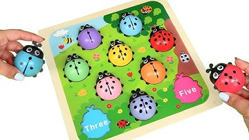 Learn Colors, Numbers & Count Miraculous Ladybugs | Count 1 to 10 | Preschool Toddler Learning Video