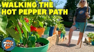 Walking the Hot Pepper Path Part 1