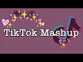 TikTok Mashup 2021 (not clean)