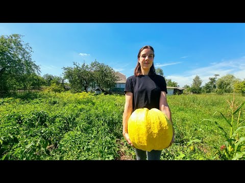 Video: Apburošākās un pievilcīgākās b altkrievu meitenes