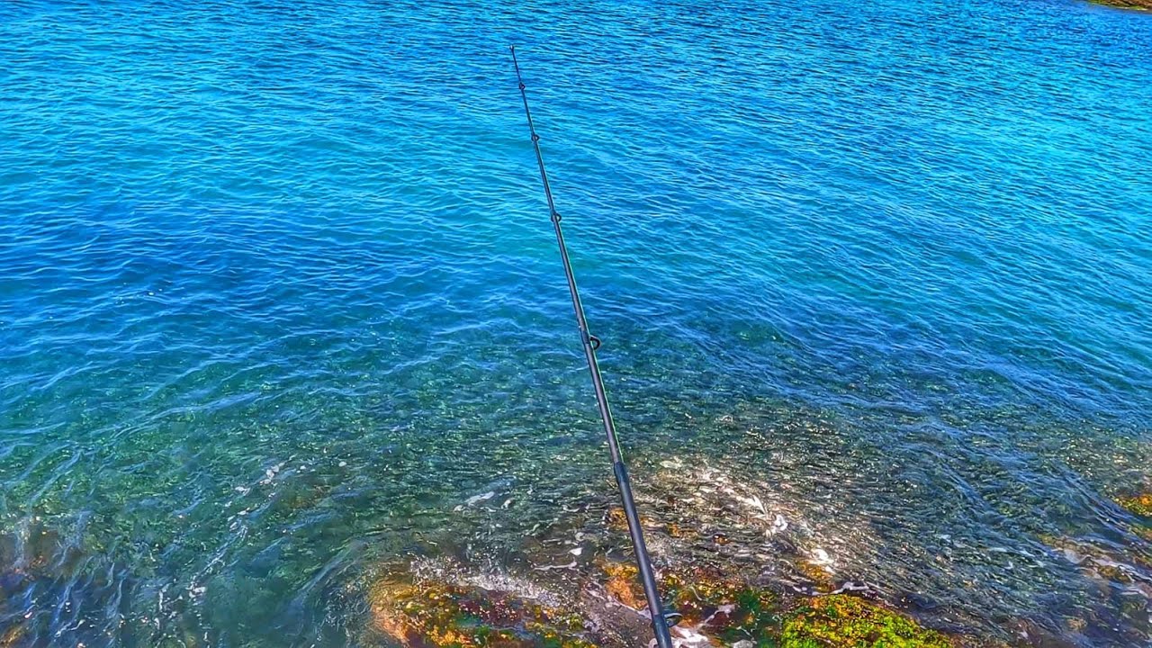 CARDUME DE PEIXES E MUITO ROBALO CABO FRIO RJ ! PESCARIA...
