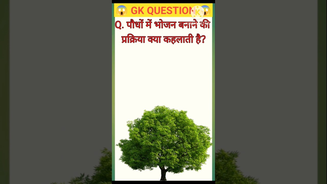 | General Knowledge Most Important Question GK Quiz | 