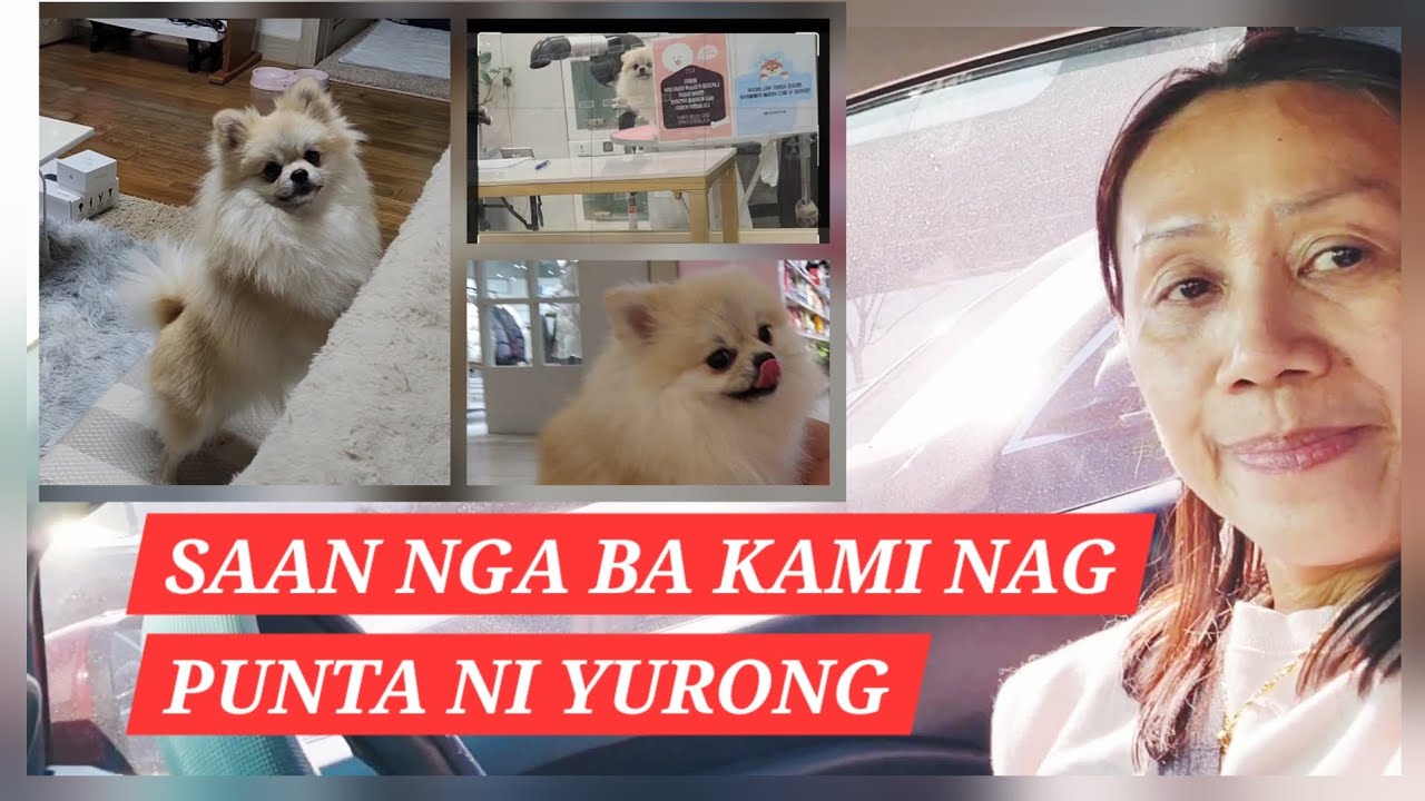 LIFE IN KOREA:YURONG'S HAIRCUT,BATH AND NAIL CUT