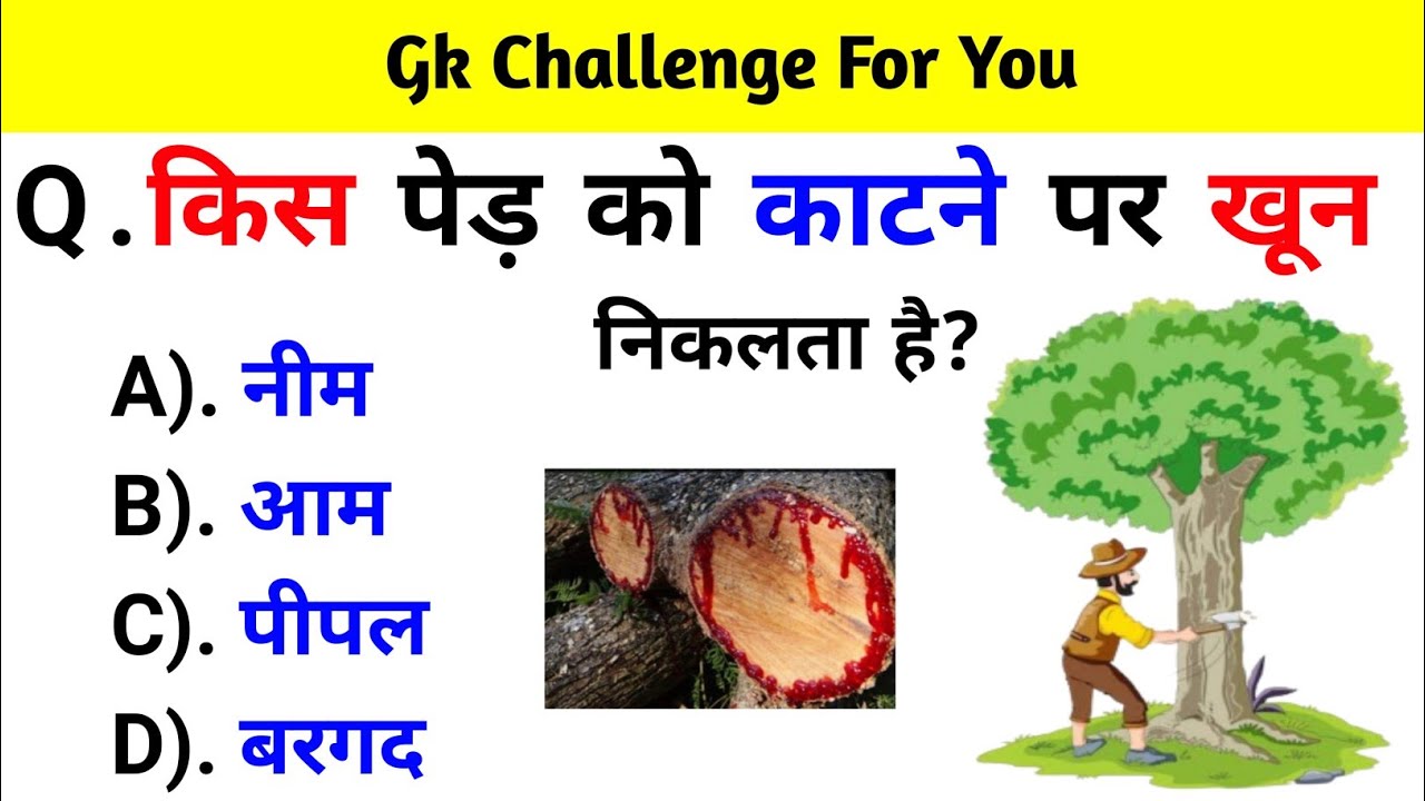 Top 30 INDIA Gk Question and Answer | Best Gk Questions and Answers | Gk Quiz | Gk Question |