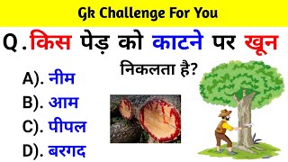 GK Question || GK In Hindi || GK Question and Answer || GK Quiz || BR GK STUDY ||