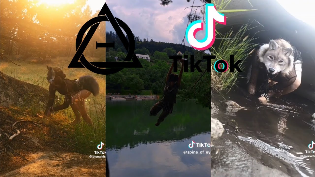 Therian TikTok Compilation 