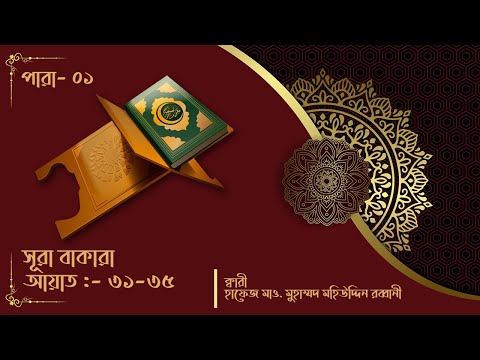 সূরা বাকারাঃ ৩১-৩৫ আয়াত || সুললিত কন্ঠে তেলাওয়াতুল কুরআন