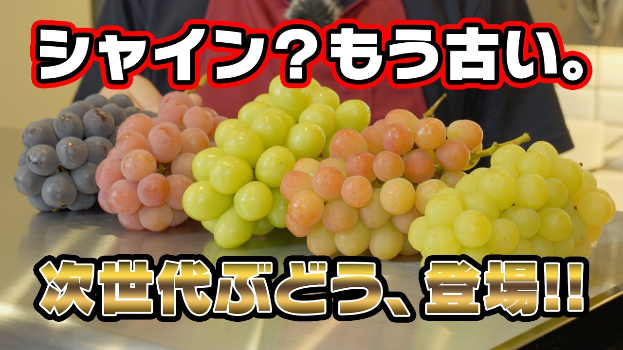 シャインマスカット？もう古い。【次世代ぶどう】がヤバい