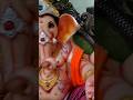 సోలాపూర్ గణేష్ లు#youtubeshorts #bappamorya#ganeshchaturthi #bappamajha #kamareddyvlogger #kamareddy