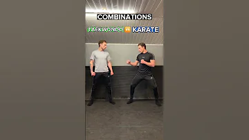 TAEKWONDO vs KARATE | Combinations