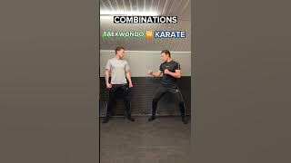 TAEKWONDO vs KARATE | Combinations