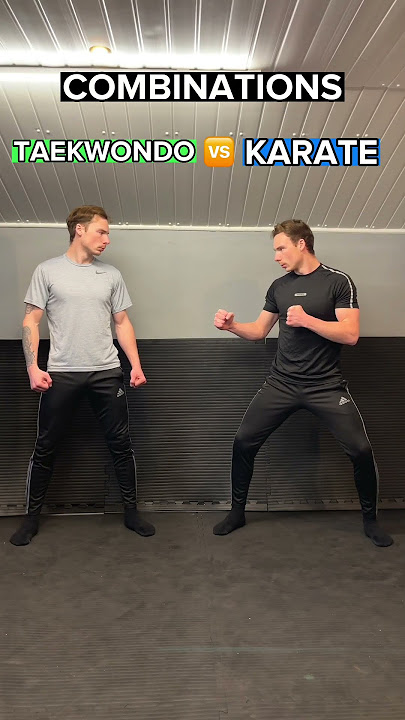 TAEKWONDO vs KARATE | Combinations