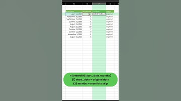 How to Use #EOMONTH in #Excel Calculate Due Dates, Reporting Periods & More  #spreadsheet #exceltips