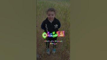#القرآن_الكريم #تلاوة_خاشعة سورة الإخلاص سورة تعدل ثلث القرآن