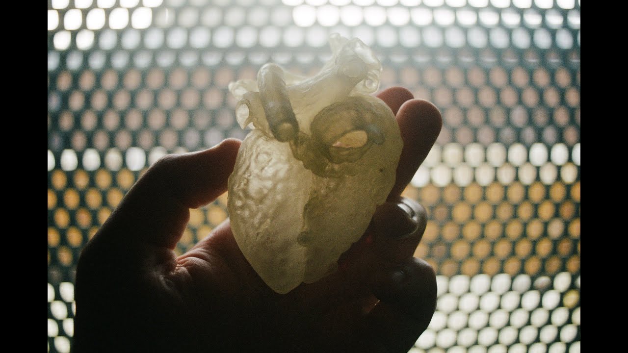 This Is Science | The British Heart Foundation